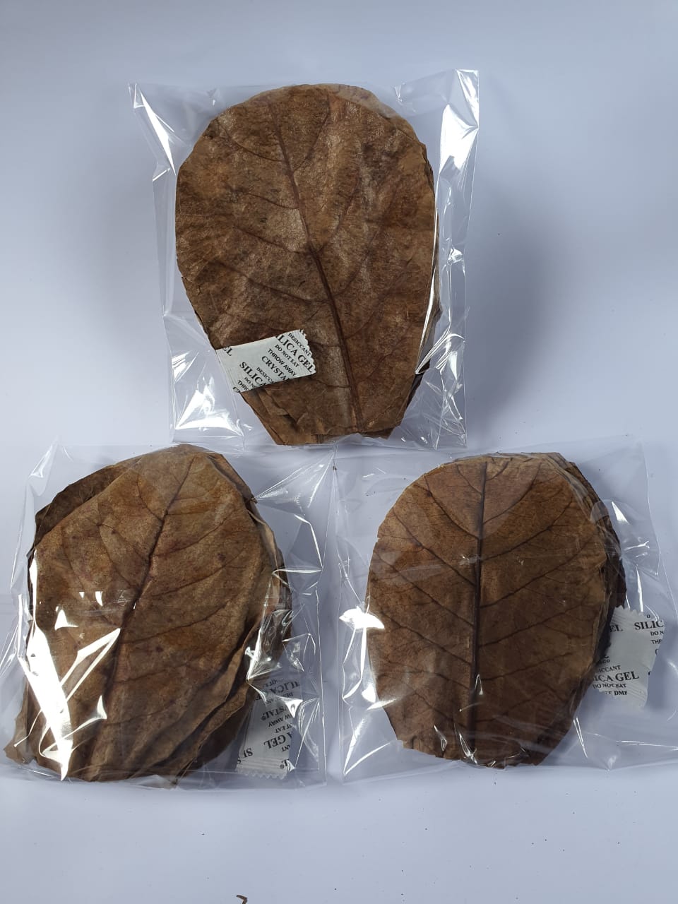 DRIED CATAPPA LEAVES